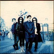 Janes Addiction - List pictures