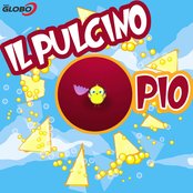 Pulcino Pio - List pictures