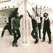 Levellers - List pictures