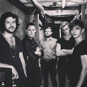 Wild Cub - List pictures