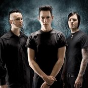 Imperative Reaction - List pictures