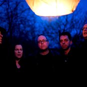 The Amber Herd - List pictures