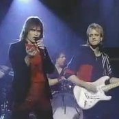 Survivor - List pictures