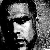 Maxwell - List pictures