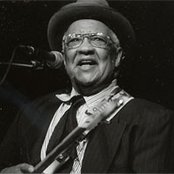 Homesick James - List pictures