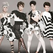 Chicks On Speed - List pictures