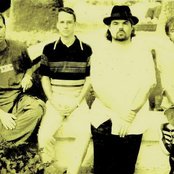 Brad - List pictures