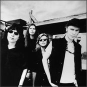 Mr. Big - List pictures