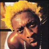 Elephant Man - List pictures