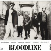 Bloodline - List pictures