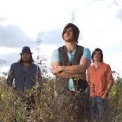 Seabird - List pictures