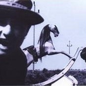 Nalin & Kane - List pictures