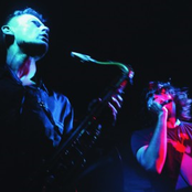 Melt Yourself Down - List pictures