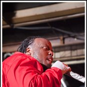 Krizz Kaliko - List pictures
