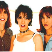 The Eyeliners - List pictures