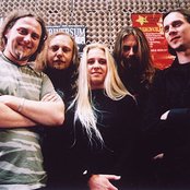 Artrosis - List pictures