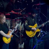 Gov't Mule - List pictures