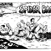 Spider Bags - List pictures