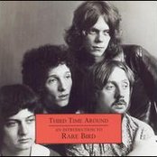 Rare Bird - List pictures