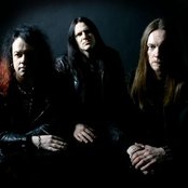 Lion's Share - List pictures