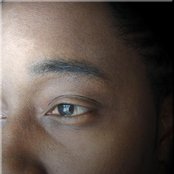 D. Brown - List pictures