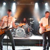 Cobra Skulls - List pictures