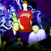 Lower - List pictures