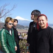 Nicotine - List pictures