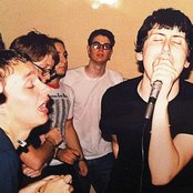 Orchid - List pictures