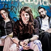 Eruca Sativa - List pictures