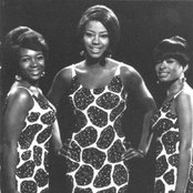 The Marvelettes - List pictures