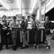 The Weirdos - List pictures