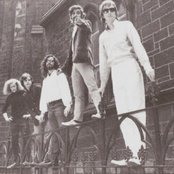 Fallen Angels - List pictures