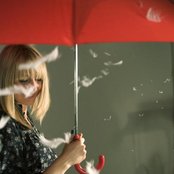 Run Toto Run - List pictures