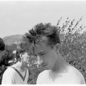 Chameleons - List pictures