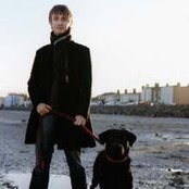 Divine Comedy - List pictures