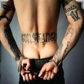 Dave Navarro - List pictures