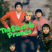 The Electric Prunes - List pictures