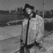 Guru - List pictures