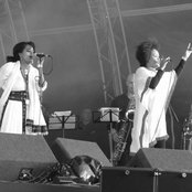 Dub Colossus - List pictures