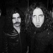 The Lions - List pictures