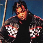 Spice 1 - List pictures