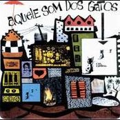 Os Gatos - List pictures