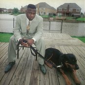 Scarface - List pictures