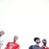 Waxwing - List pictures