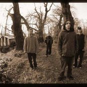 Gojira - List pictures