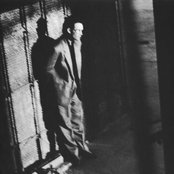 Marshall Crenshaw - List pictures