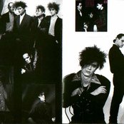 Caifanes - List pictures