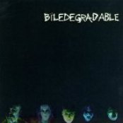 Bile - List pictures