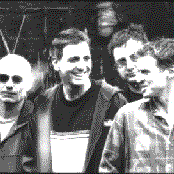 Mutton Birds - List pictures